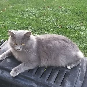 Meet your Posher, Danny